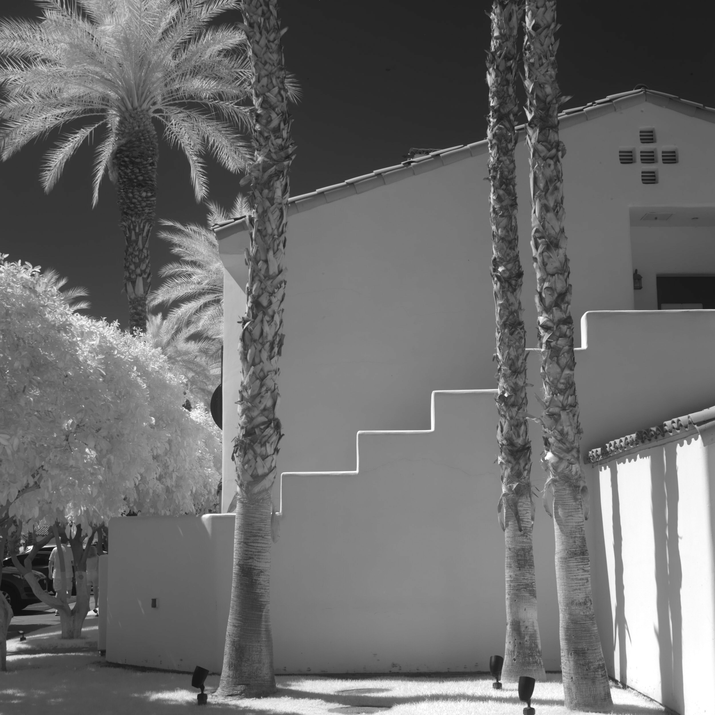 4-24-23_0738LRLR1