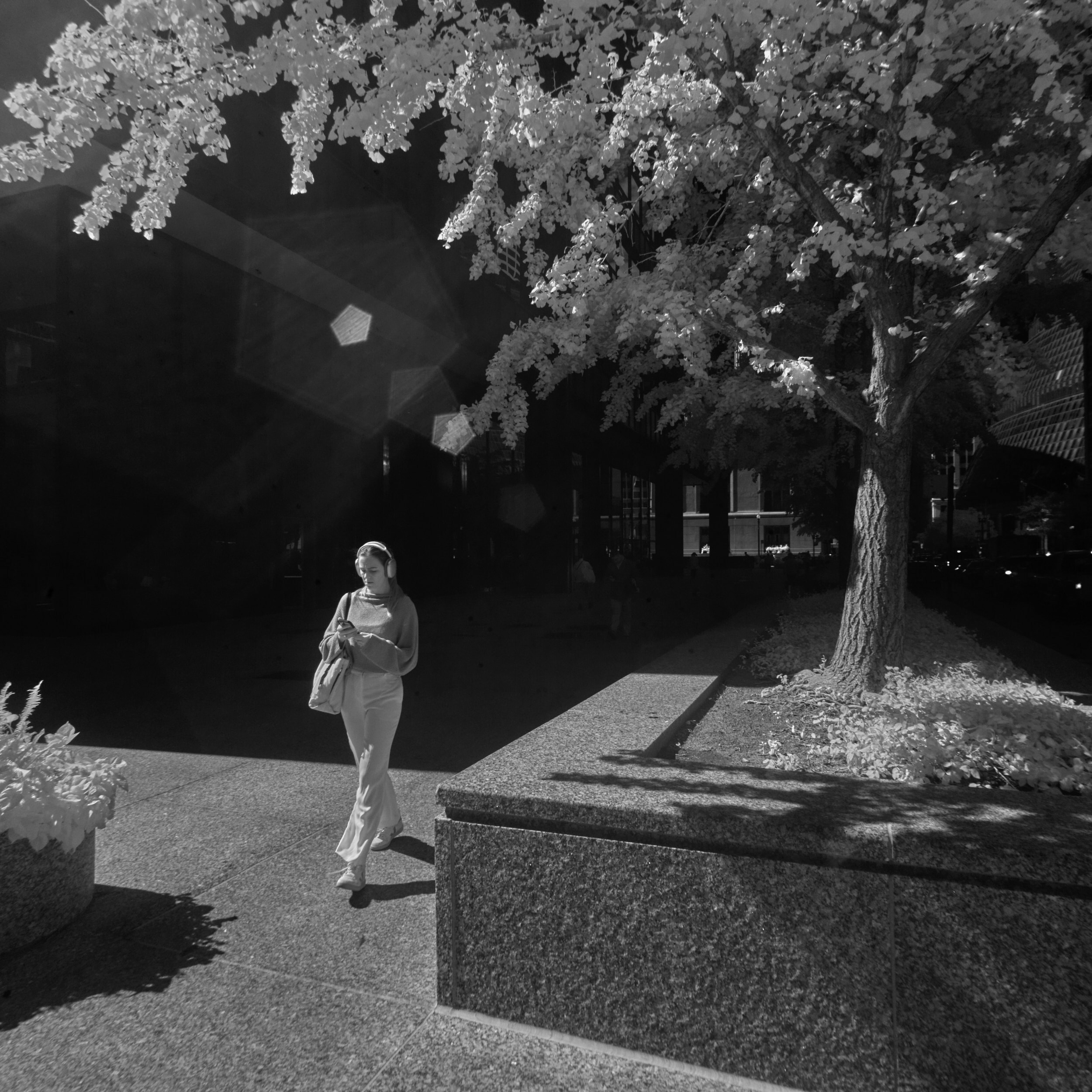 9-26-22_0415LRLR
